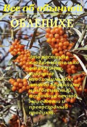 Иван Дубровин, Все об обычной облепихе